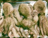 生タコの下処理&やわらか冷凍保存作り方1写真