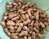 つまみに最高!美味しい塩茹で落花生!作り方5写真