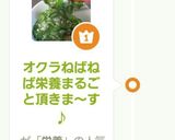 オクラねばねば栄養まるごと頂きます♪作り方9写真