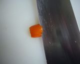 お弁当に♪鯉のぼりウインナー作り方4写真