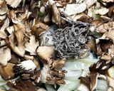 黒舞茸たっぷり和風パスタ作り方3写真
