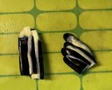 茄子の青い漬け物作り方21写真
