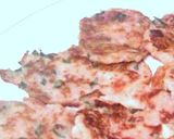 簡単！！レンコン＆長芋もちもち焼き作り方3写真