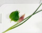 いかの塩なめろう作り方1写真