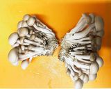 秋 鮭のホイル焼き作り方8写真