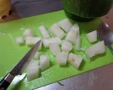 最速の冬瓜のガスパチョ作り方17写真