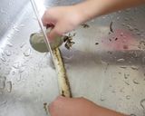 ごぼうの皮むきはこれで楽々作り方4写真