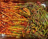 ご飯がすすむ！！ネギのキムチ（パキムチ）作り方16写真