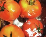 トマトとオクラのおひたし作り方1写真