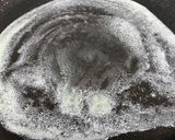 ミルキーなドライフルーツフレンチトースト作り方3写真