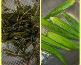 長芋*あかもく*オクラの味噌汁♪作り方1写真