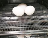 アラジントースター　温泉卵作り方1写真