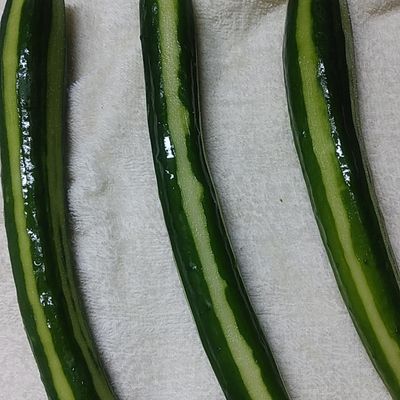 キュウリの1本漬！キュウリ丸かじり by クック8SZI44☆ 【クックパッド