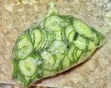 サツマイモと魚肉ソーセージのポテトサラダ作り方3写真