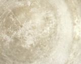 副菜キャベツとしめじのからしめんつゆ和え作り方2写真
