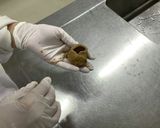 黒糖醤油まんじゅう作り方9写真