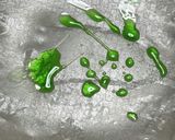 推し活にもどうぞ！フルーツ生春巻き作り方6写真