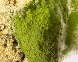 海苔巻きdeごはんえぴ作り方15写真