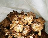 電気圧力鍋（鍋モード）で栗の皮むき作り方3写真