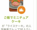 ご飯でミニチュアケーキ作り方10写真
