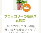 ブロッコリーの新芽ハム巻き作り方10写真