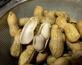 おおまさり（生落花生）の塩茹で方法♪作り方4写真