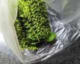 アイラップで簡単下準備！紫蘇の実の塩漬け作り方1写真
