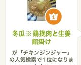 冬瓜※鶏挽肉と生姜餡掛け作り方17写真