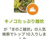 キノコたっぷり雑炊作り方6写真