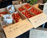 トマトと豚角煮の焼きうどん醤油ニンニク作り方1写真