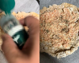 簡単！鮭フレークで全粒粉鮭マヨピザ♪作り方5写真