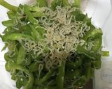 栄養満天じゃこピーマン作り方3写真