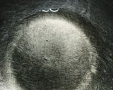 蓮根のカリカリ簡単素揚げ作り方3写真