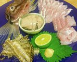 八角 トクビレの捌き方 刺身 軍艦焼き作り方9写真