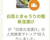 白菜ときゅうりの簡単浅漬け作り方6写真