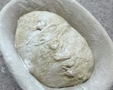 カンパーニュ【自家製天然酵母使用】作り方20写真
