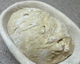 カンパーニュ【自家製天然酵母使用】作り方22写真