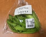 シカクマメのテルダーラ（炒め物）作り方1写真