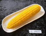 80℃ とうもろこし麹 比較実験Vo.1作り方25写真