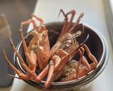 蟹を茹でる♪作り方6写真