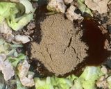 ビールを飲む為の焼きそば作り方3写真
