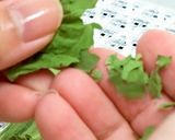 干しチンゲン菜とチンゲン菜パウダー作り方4写真