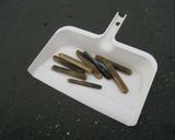 マテガイのぶっかけうどん作り方1写真