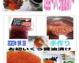 2022年★初もの生鮭子★いくら漬けに作り方9写真