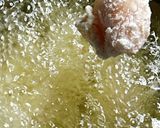 ハリッサで食べる鶏胸肉唐揚げ作り方3写真
