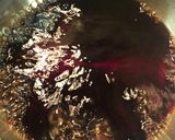 ひっこ抜いて楽しい「みたらしきな粉団子」作り方4写真