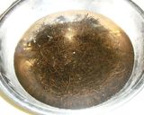 ひじきのようでまったく別物★あらめの煮物作り方2写真
