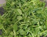 豆苗再生栽培〜簡単豆苗マヨサラダ作り方2写真