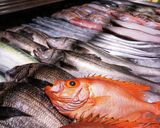 余った焼肉のタレで煮つけ～魚の駅生地～作り方1写真