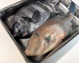 余った焼肉のタレで煮つけ～魚の駅生地～作り方2写真